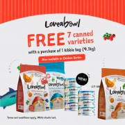 Loveabowl Special deal Loveabowl Special deal